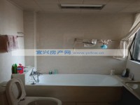 其它图