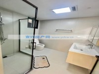 其它图