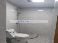 其它图