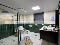其它图