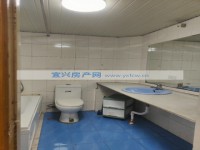 其它图