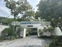 其它图