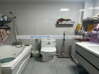 其它图