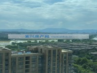 其它图