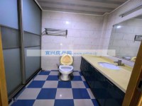其它图