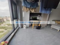 其它图