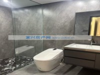 其它图