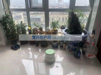 其它图