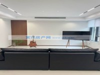 其它图
