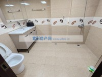 其它图