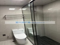 其它图
