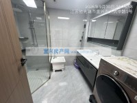 其它图
