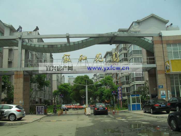 实景图